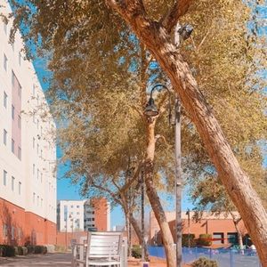 Meet your Posher, Claire